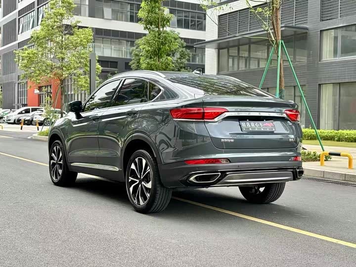 Фото 4 - Geely Tugella S