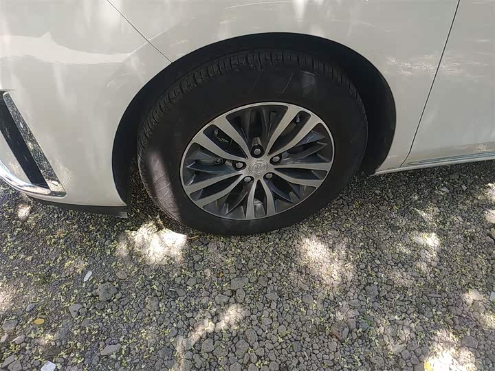 Фото 23 - Buick GL8 ES