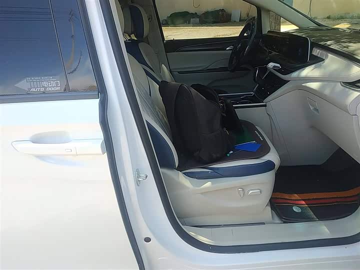 Фото 25 - Buick GL8 ES