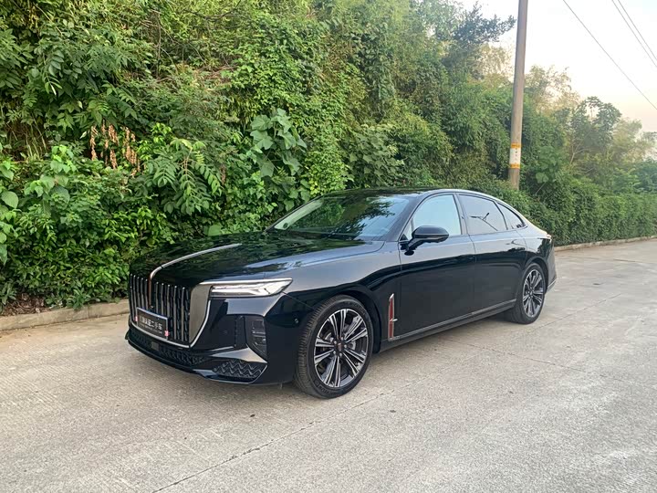 Фото 1 - Hongqi H9