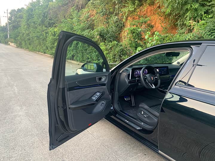 Фото 10 - Hongqi H9