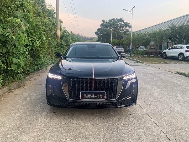 Фото 2 - Hongqi H9