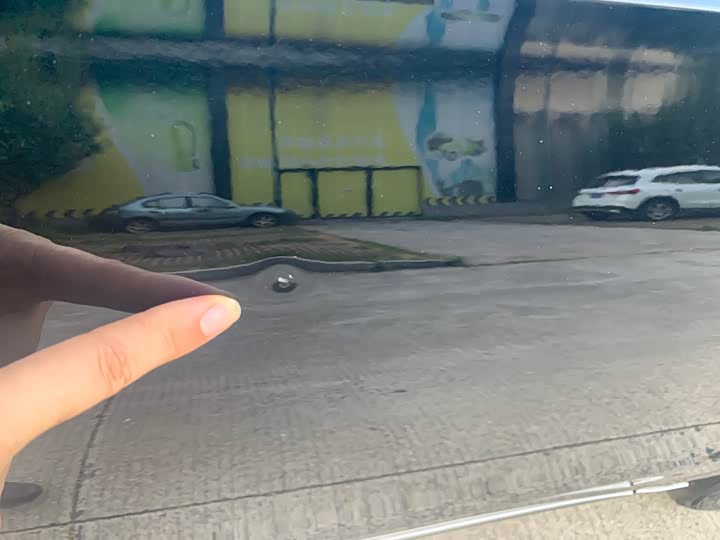 Фото 21 - Hongqi H9