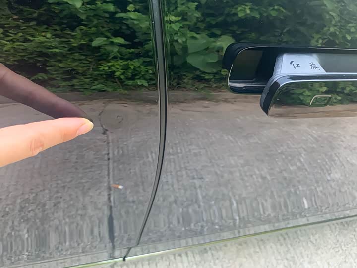 Фото 23 - Hongqi H9