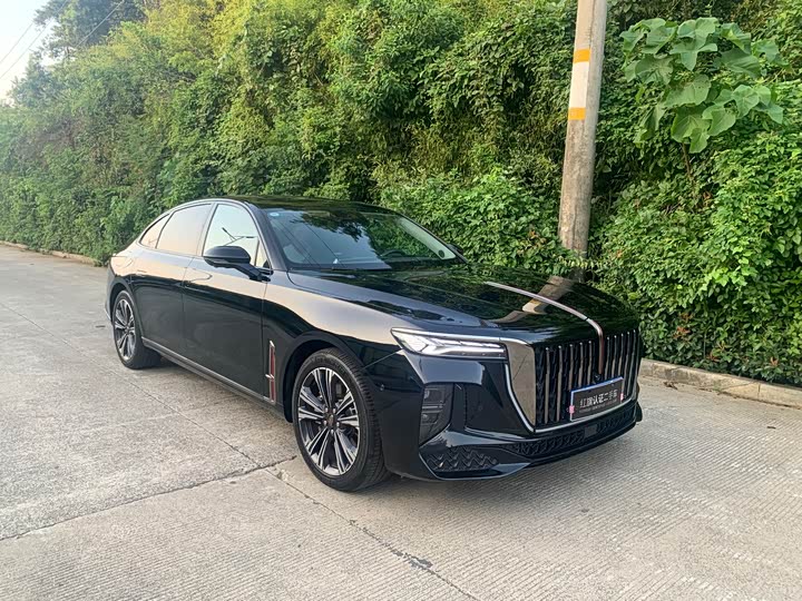 Фото 3 - Hongqi H9