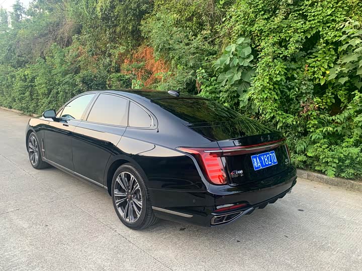 Фото 4 - Hongqi H9