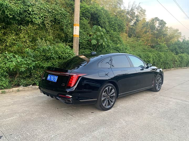 Фото 6 - Hongqi H9