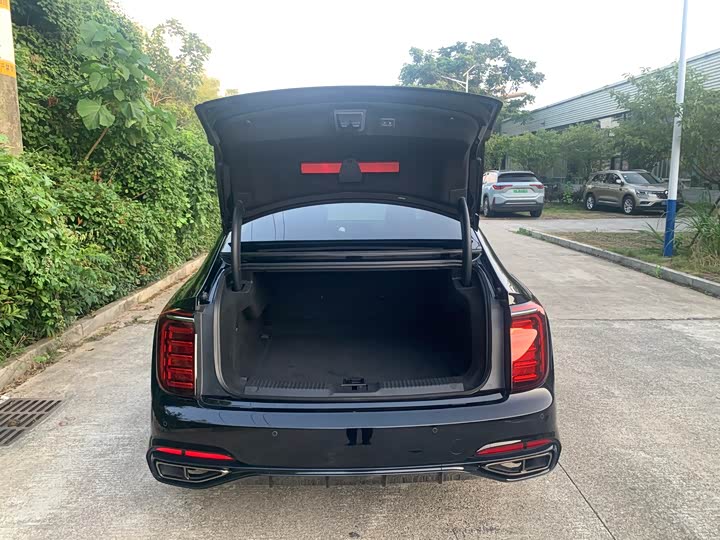 Фото 7 - Hongqi H9