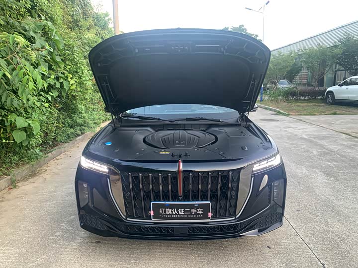 Фото 9 - Hongqi H9