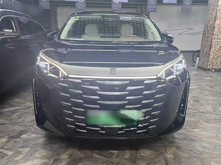 Фото 8 - BYD Xia