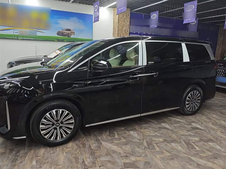 Фото 9 - BYD Xia