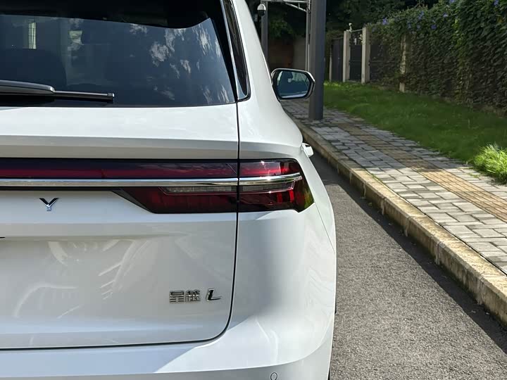 Фото 10 - Geely Monjaro