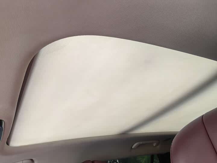 Фото 15 - Hongqi E-HS9