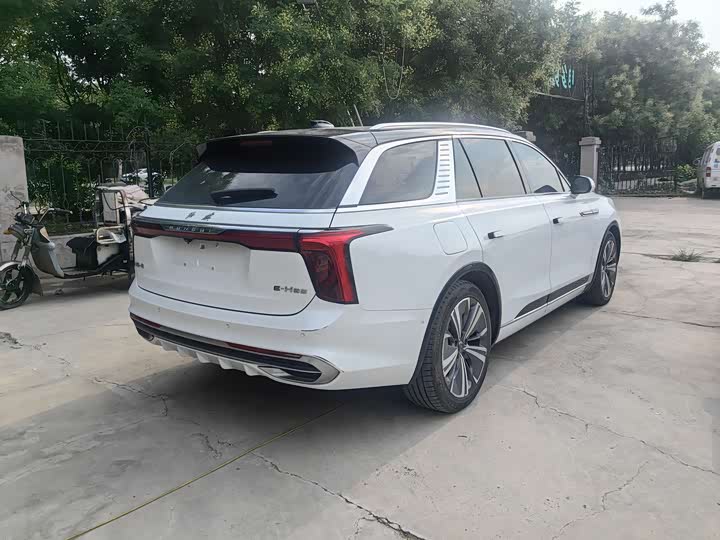 Фото 5 - Hongqi E-HS9