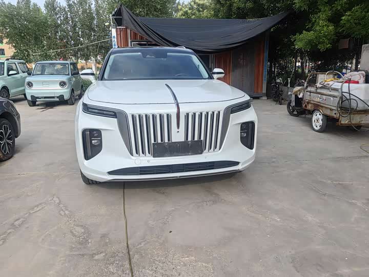 Фото 6 - Hongqi E-HS9