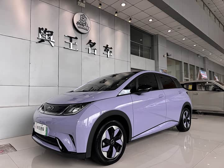 Фото 1 - BYD Dolphin