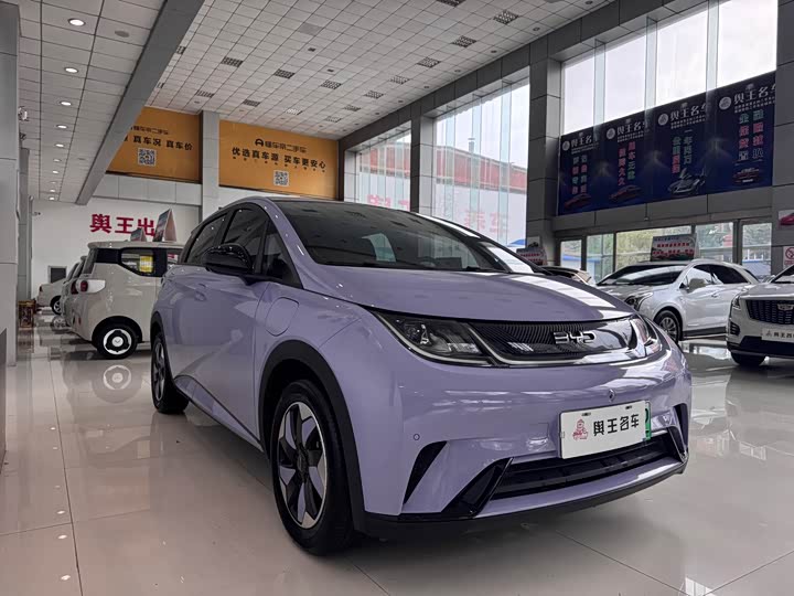 Фото 5 - BYD Dolphin