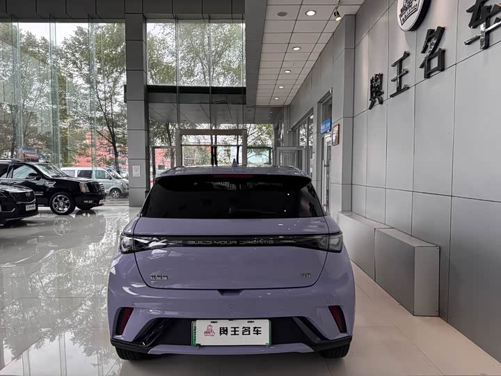 Фото 6 - BYD Dolphin