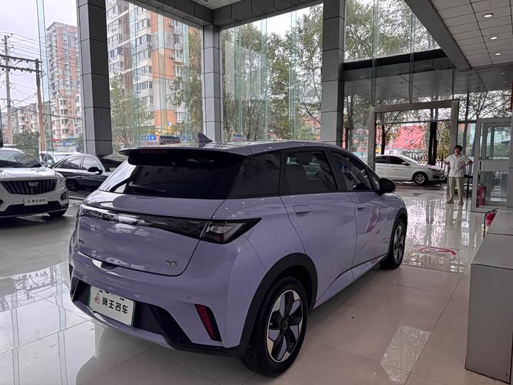 Фото 7 - BYD Dolphin