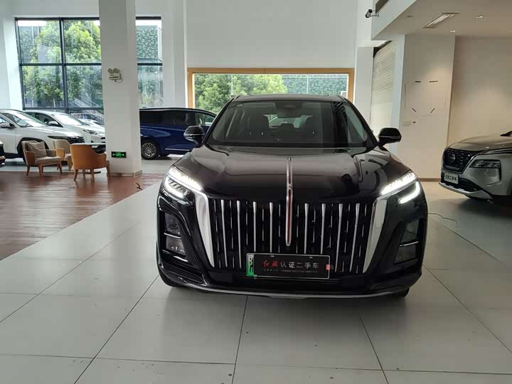 Фото 1 - Hongqi HS3
