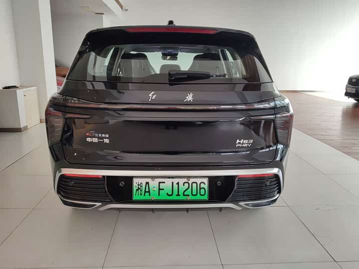 Фото 10 - Hongqi HS3