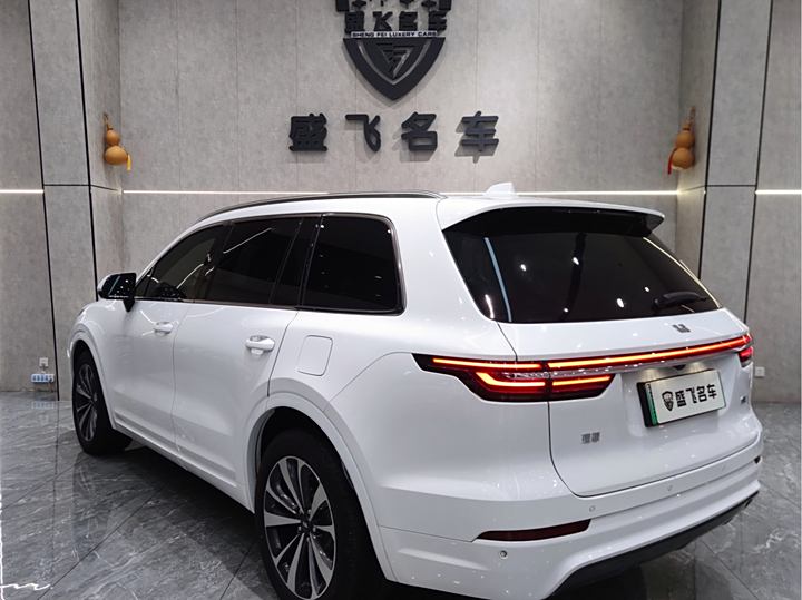 Фото 5 - LiXiang One