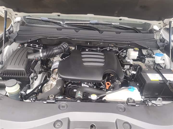 Фото 11 - Great Wall Pao