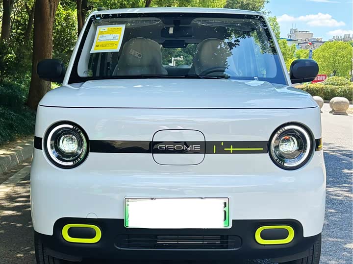 Фото 2 - Geely Galaxy Panda Mini