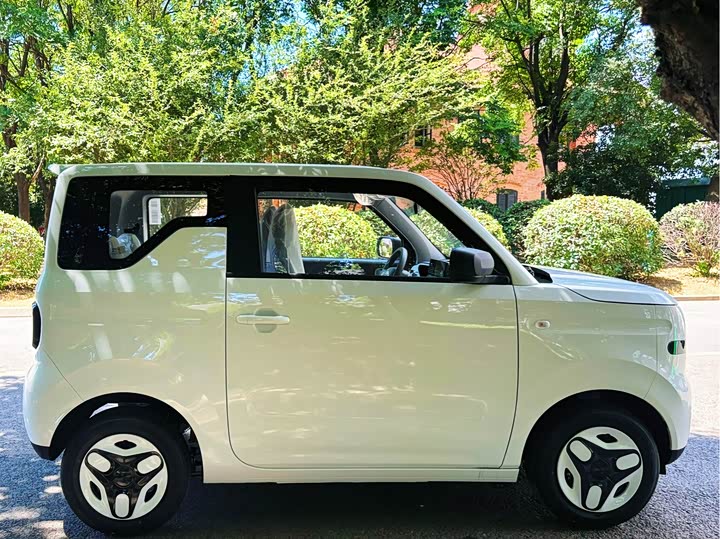 Фото 3 - Geely Galaxy Panda Mini