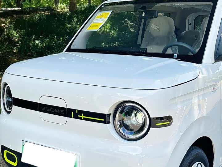 Фото 8 - Geely Galaxy Panda Mini