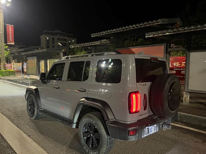 Фото 3 - Tank 300