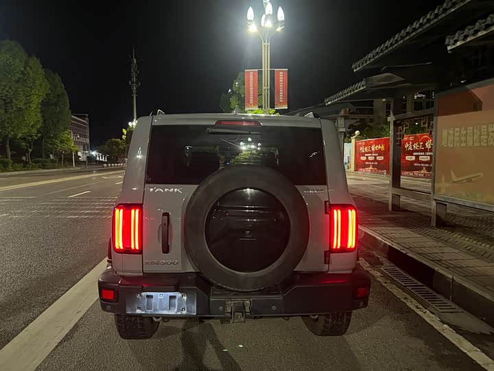 Фото 4 - Tank 300