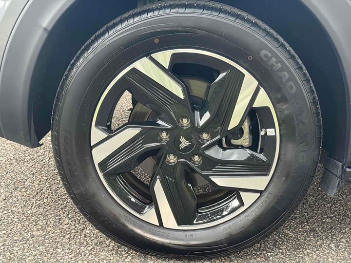 Фото 20 - Hozon X