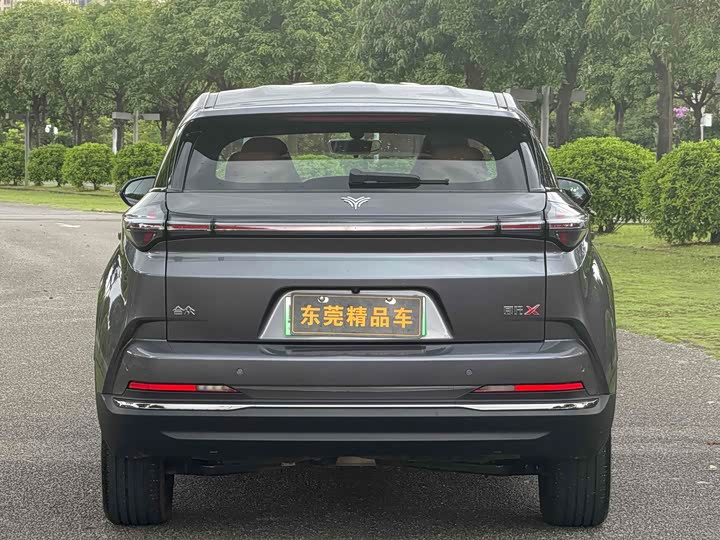 Фото 6 - Hozon X