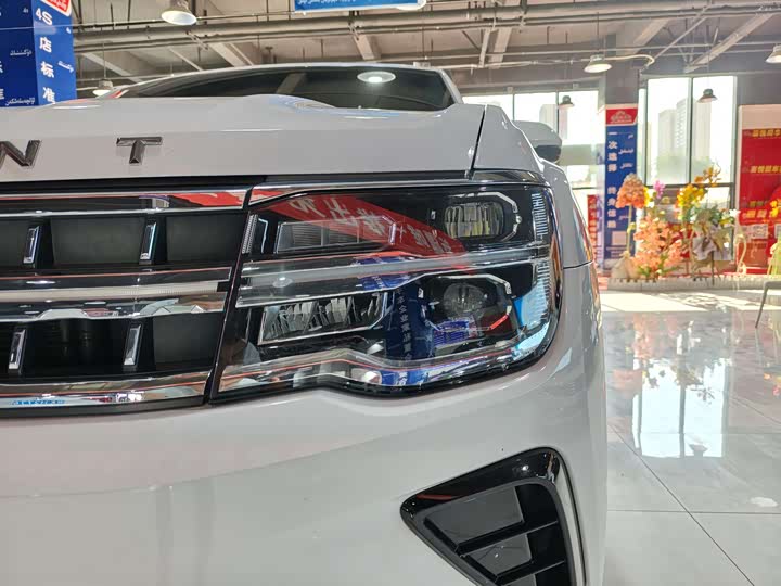 Фото 11 - Volkswagen Teramont Pro