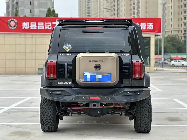 Фото 4 - Tank 300