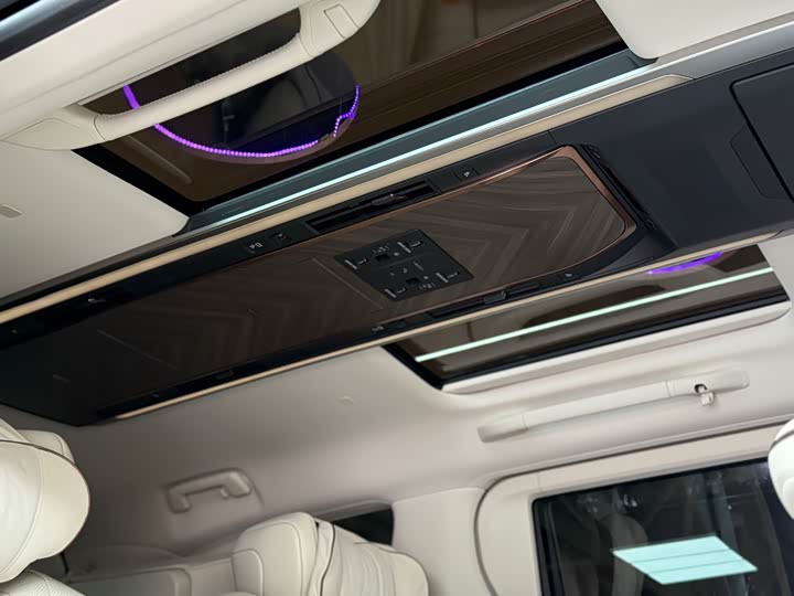 Фото 27 - Lexus LM