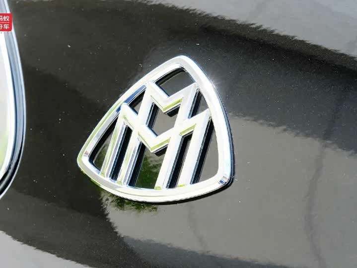 Фото 8 - Mercedes-Benz Maybach S-Class