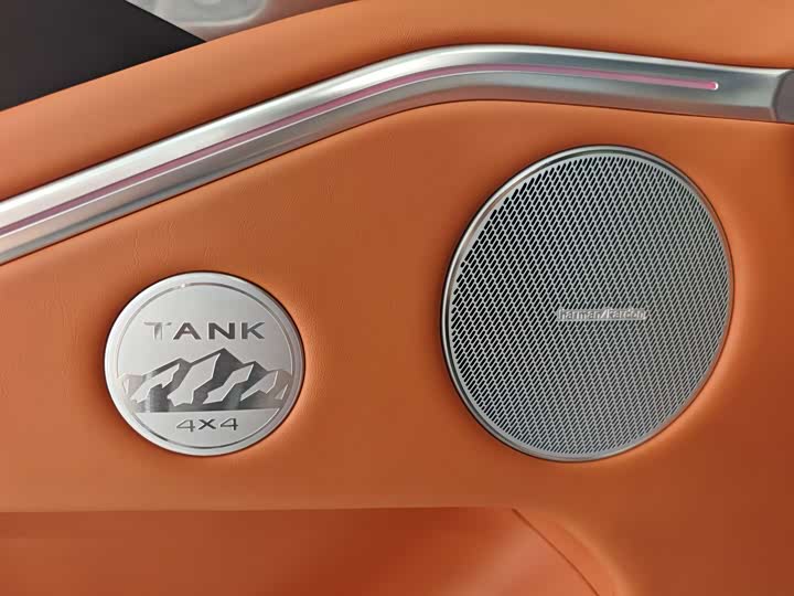 Фото 15 - Tank 700 Hybrid