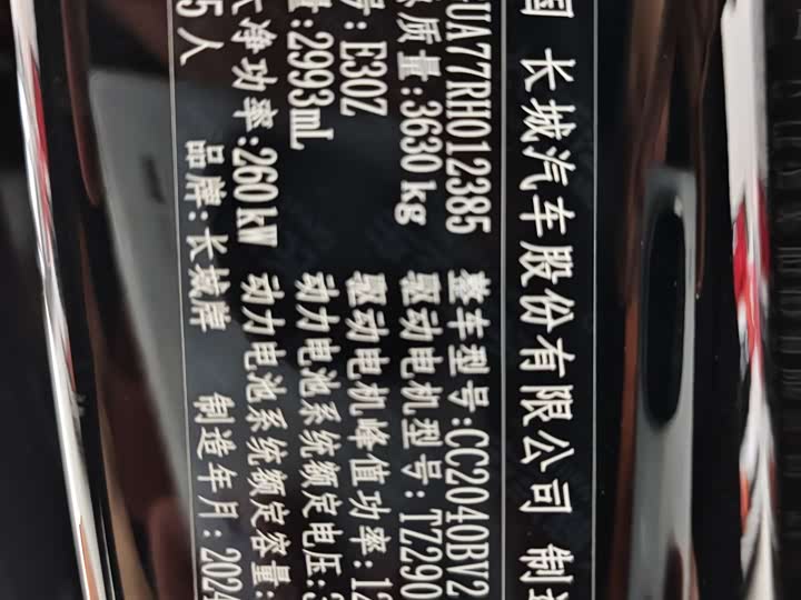 Фото 18 - Tank 700 Hybrid