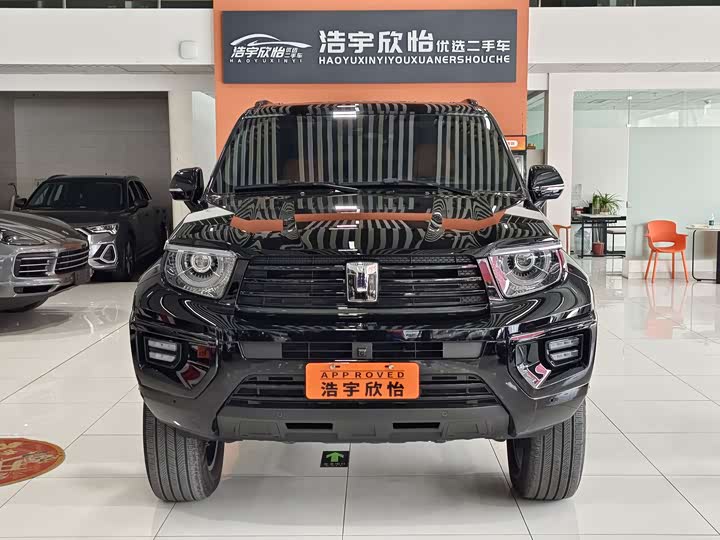 Фото 2 - Tank 700 Hybrid