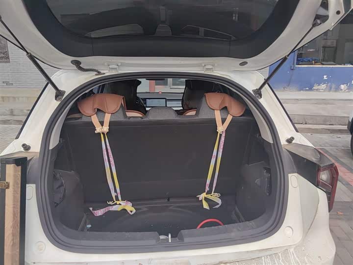 Фото 12 - Geely Geometry E Firefly