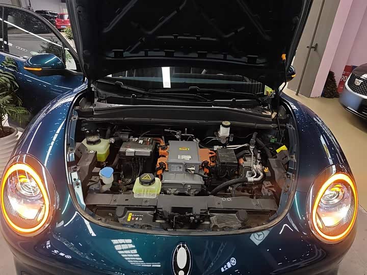 Фото 20 - Ora Good Cat (03)