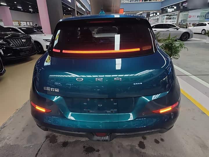 Фото 6 - Ora Good Cat (03)