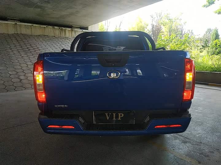 Фото 6 - Great Wall Pao