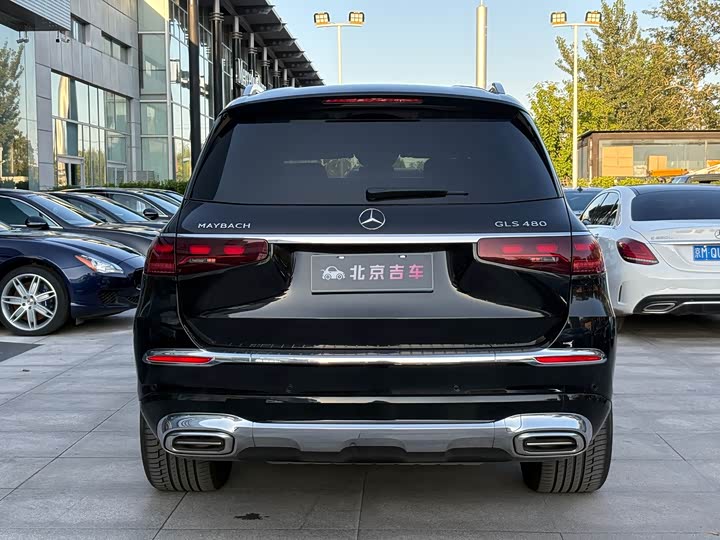 Фото 4 - Mercedes-Benz Maybach GLS