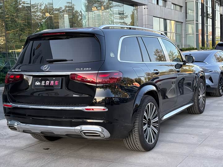 Фото 6 - Mercedes-Benz Maybach GLS