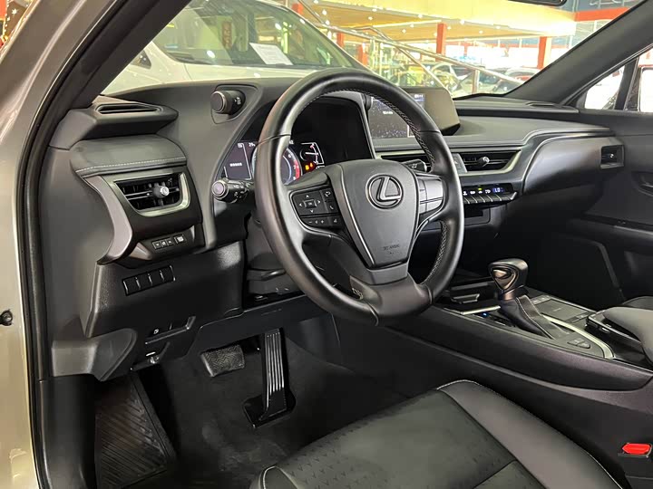 Фото 7 - Lexus UX