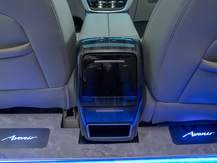 Фото 25 - Buick GL8 ES