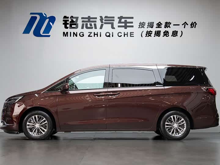 Фото 6 - Buick GL8 ES